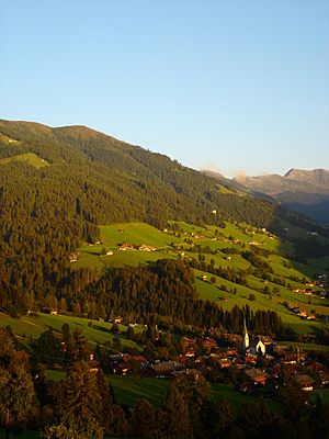 Alpbach sommer.jpg