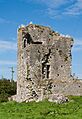 Ballybeg Priory St. Thomas Tower House 2012 09 08
