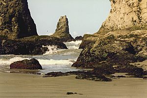 Bandon Oregon Coastal rocks 02