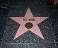 Big Bird Walk of Fame 4-20-06