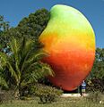 Big mango