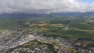 Blenheim New Zeland