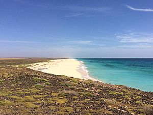 Boa Vista IMG 3886 25