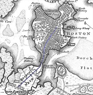 BostonNeck