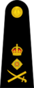 British Royal Marines OF-9.svg