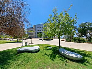 Campus Green and Faculty Buildings, Ariel University, Israel