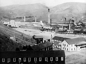 Black and white photo of Carnegie after 1905