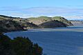 Carquinez Regional Shoreline (cropped)