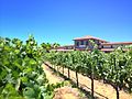 Casa Real at Ruby Hill Winery, Livermore, California (14533159001)