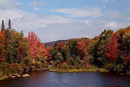 Cedar River in Fall.jpg