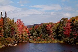Cedar River in Fall