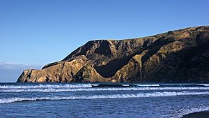Coastline at Sandymount NZ 2016