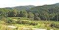 Coed Dolmelynllyn woodlands from Berth-lwyd - geograph.org.uk - 534405