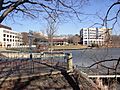 Columbia Town Center, landscape (21440077289)