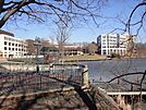 Columbia Town Center, landscape (21440077289).jpg