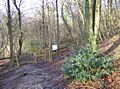 Coulter's Dean - geograph.org.uk - 356085