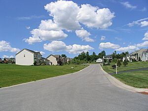 DeWittneighborhood2