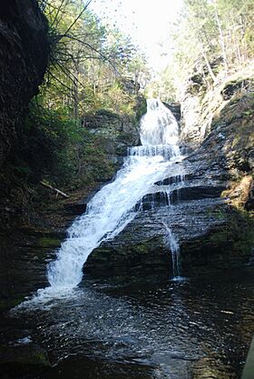 Dingmans Falls.jpg