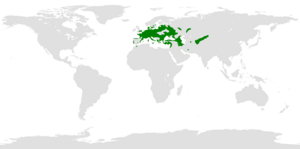 Distribution of Aeshna isoceles.png
