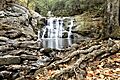 Doanes Falls Lower Falls Oct 2020