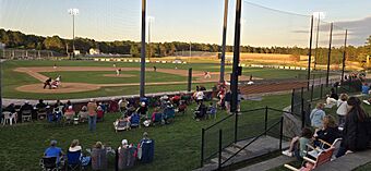 Doran Park - first base side home plate berm view.jpg