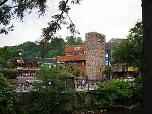 Downtown Gatlinburg From Aquarium