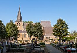Eersel, de Sint-Willibrorduskerk RM517808 IMG 7505 2020-09-14 13.15