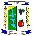 Escudo molina