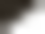 F1 black and white diagonal flag.svg