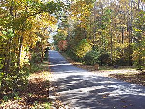 Fall in Kings Ridge Estates in Woodstock GA