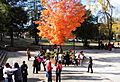 Fall on the campus of Tuskegee
