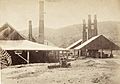 Fitzroy iron works, Mittagong, 1873 d