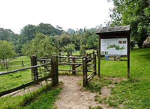 Footpath through Swan Barn Farm, Haslemere (geograph 4164045)