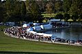 ForestParkWineFestival
