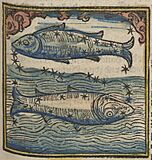 Fotothek df tg 0004439 Astrologie ^ Sternzeichen ^ Kalender