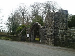 Gate, Dunsany Castle, Co Meath - geograph.org.uk - 1760613