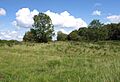Geograph 2559806 Burrington Ham
