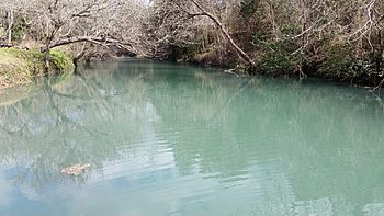 Geronimo Creek Texas.jpg