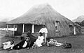 Hale pili in East Kauai, photograph by Henry Funk