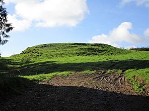 The motte is a squat, flat-topped mound of earth or rubble.