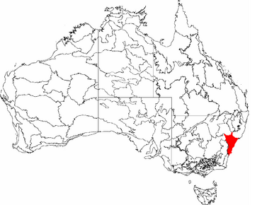 IBRA 6.1 Sydney Basin.png