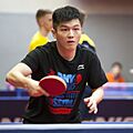 ITTF World Tour 2017 German Open Fan Zhendong 03