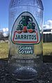 Jarritos bottle March 26 2019 (2)