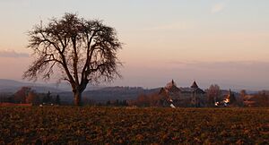 Kyburg Castle