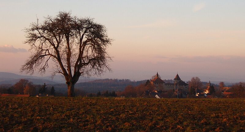 Kyburg Castle