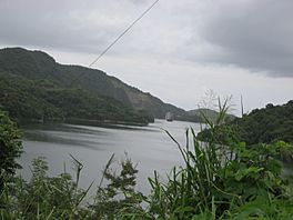 Lago Cerrillos.JPG