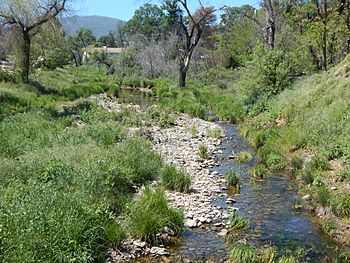 Mariposa Creek.jpg