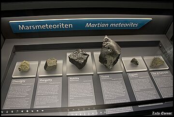 Martian Meteoritses (15651719446)