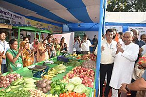 Nitish Kumar visiting the stalls set up by Jivika Didis
