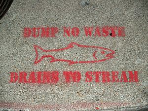 No Dumping Drains to Stream by David Shankbone